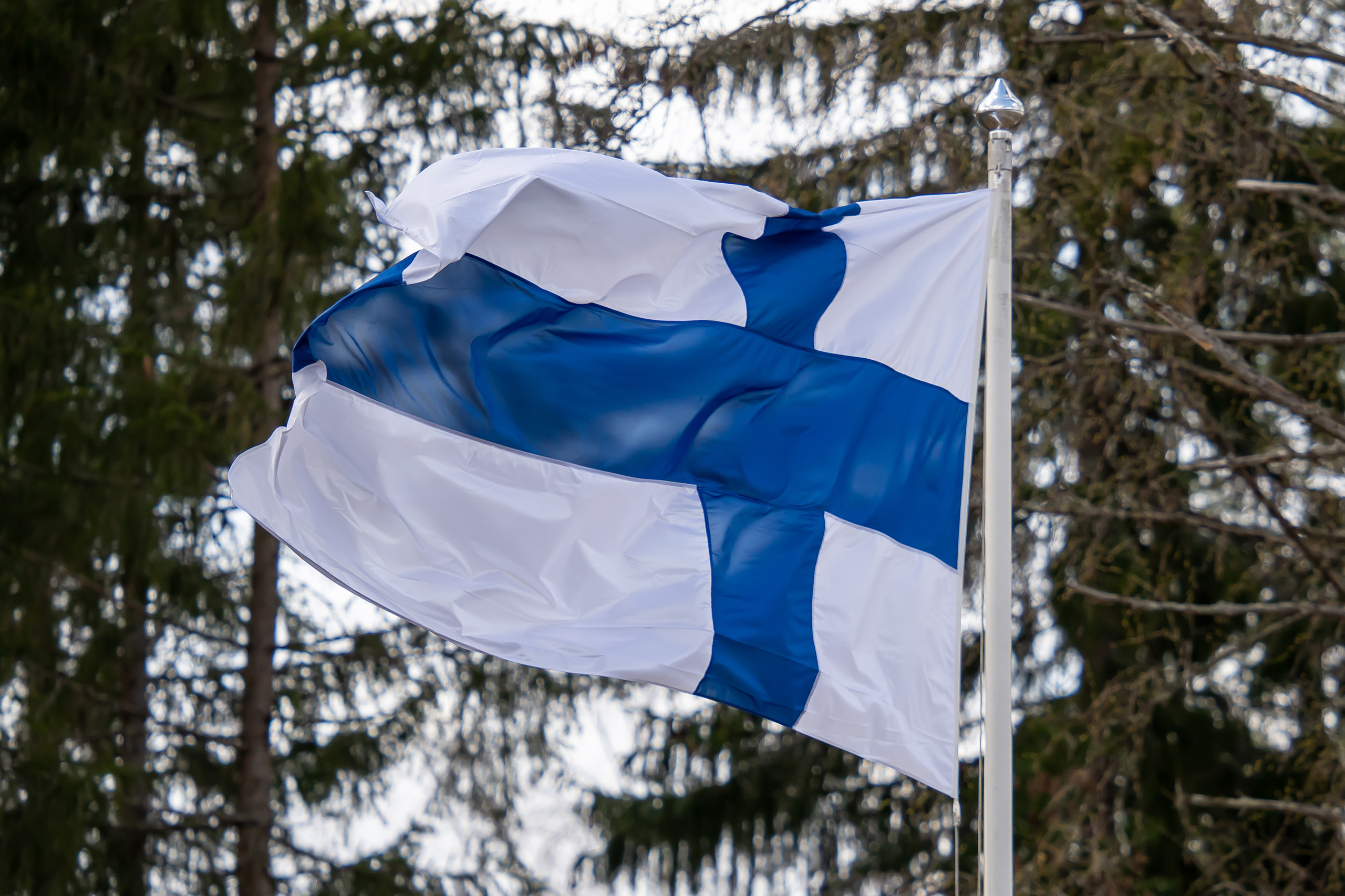 Suomen lippu