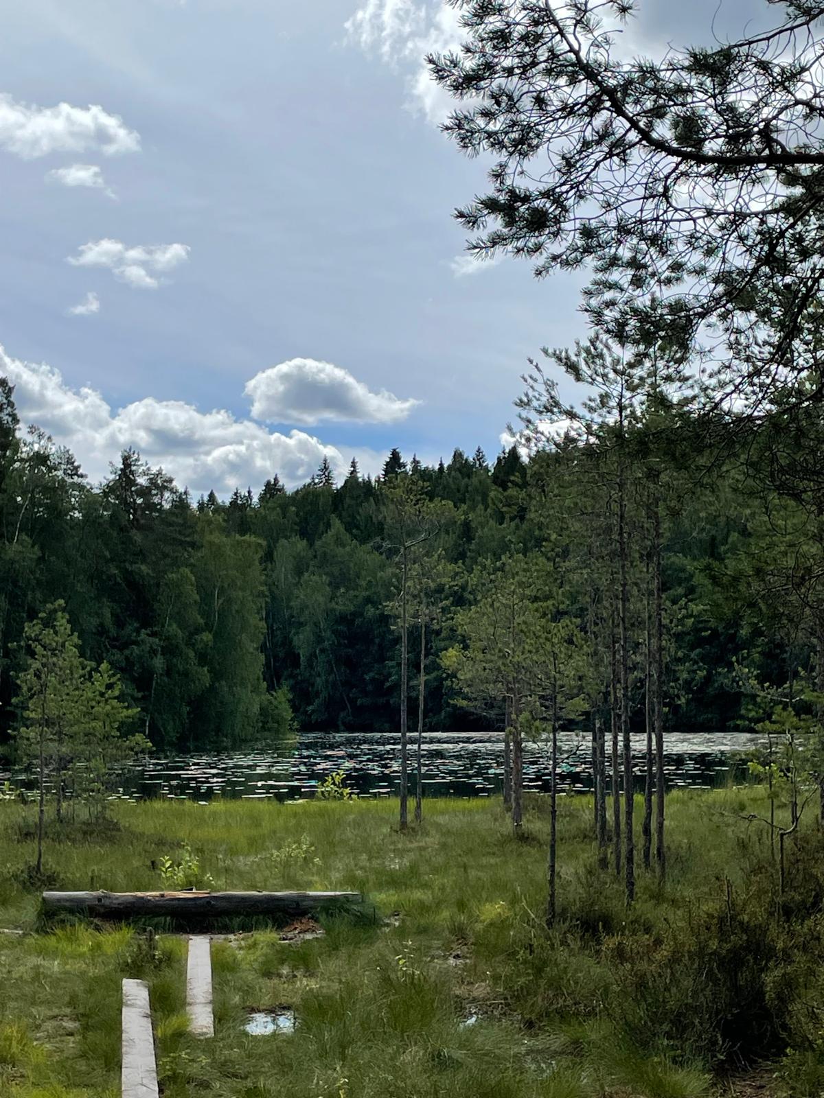 Suomen lippu